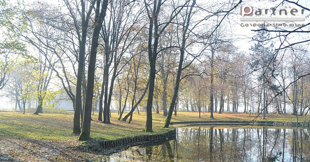 Park w Rusiborzu późną jesienią